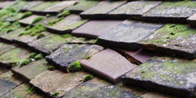 Nutley roof repair costs